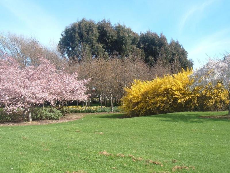 Colonial On Tay Μοτέλ Invercargill Εξωτερικό φωτογραφία